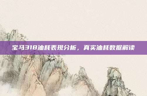 宝马318油耗表现分析,真实油耗数据解读