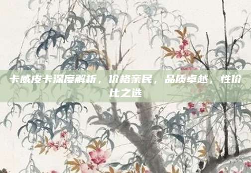 卡威皮卡深度解析,价格亲民,品质卓越,性价比之选