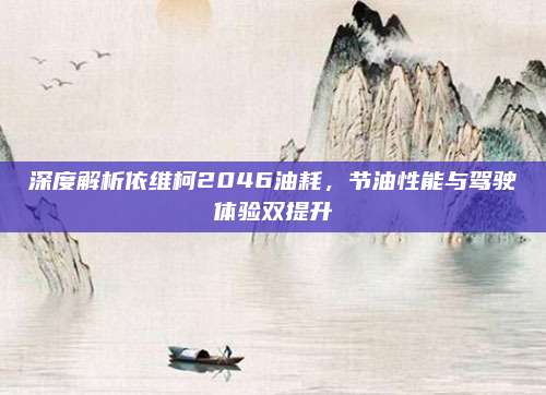 深度解析依维柯2046油耗，节油性能与驾驶体验双提升