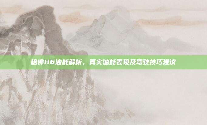 哈佛H6油耗解析,真实油耗表现及驾驶技巧建议