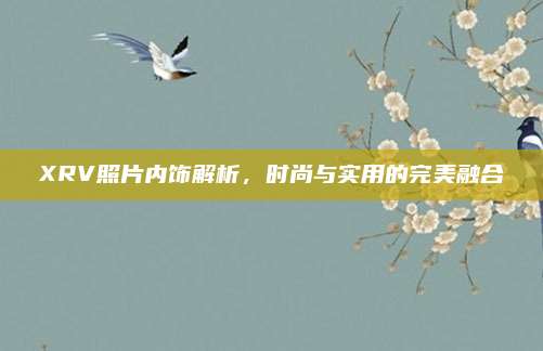 XRV照片内饰解析,时尚与实用的完美融合