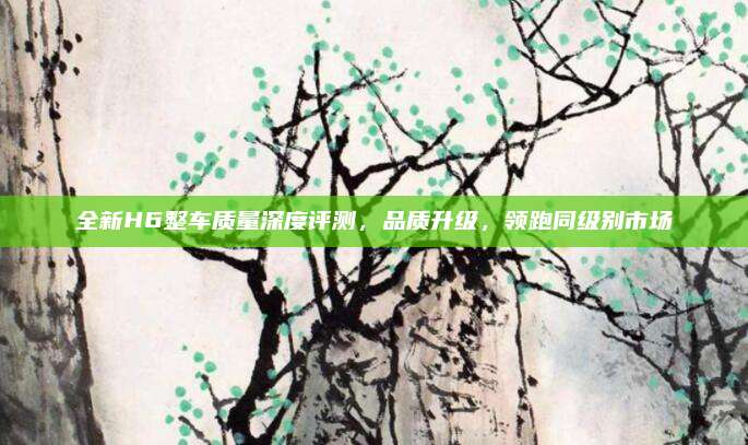 全新H6整车质量深度评测，品质升级，领跑同级别市场