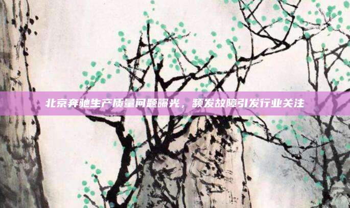 北京奔驰生产质量问题曝光,频发故障引发行业关注