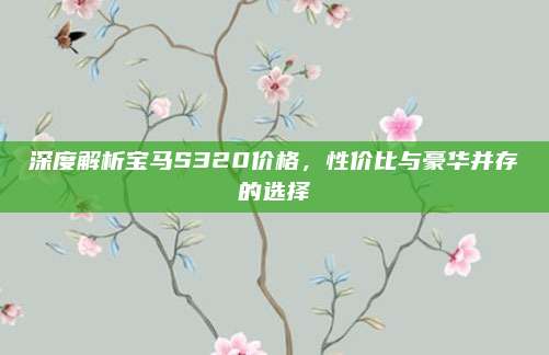 深度解析宝马S320价格，性价比与豪华并存的选择