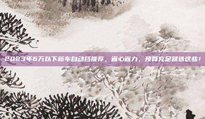 2023年6万以下新车自动挡推荐,省心省力,预算充足就选这些!