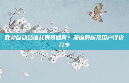 菱帅自动挡油耗表现如何?深度解析及用户评价分享