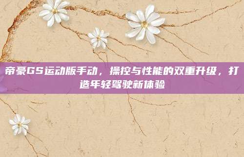 帝豪GS运动版手动,操控与性能的双重升级,打造年轻驾驶新体验