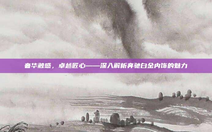 奢华触感,卓越匠心——深入解析奔驰白金内饰的魅力