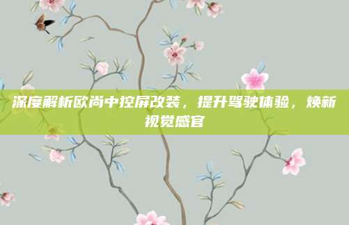 深度解析欧尚中控屏改装,提升驾驶体验,焕新视觉感官