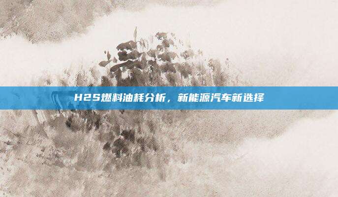 H2S燃料油耗分析,新能源汽车新选择