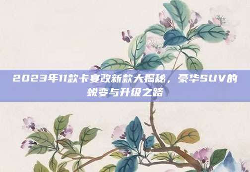 2023年11款卡宴改新款大揭秘,豪华SUV的蜕变与升级之路