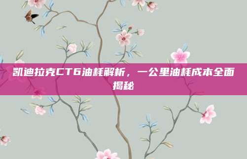 凯迪拉克CT6油耗解析,一公里油耗成本全面揭秘