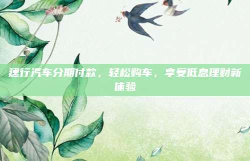 建行汽车分期付款,轻松购车,享受低息理财新体验