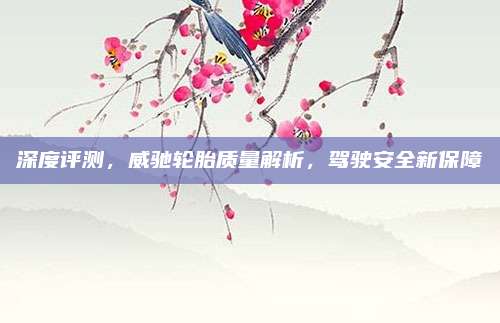 深度评测,威驰轮胎质量解析,驾驶安全新保障