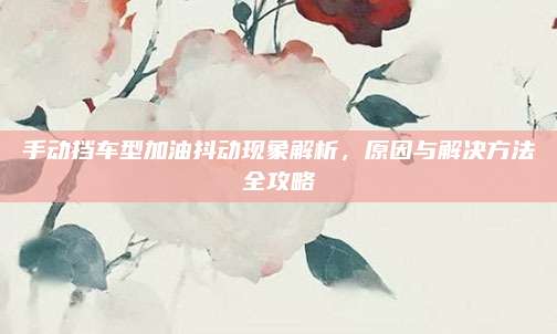 手动挡车型加油抖动现象解析，原因与解决方法全攻略