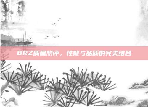 BRZ质量测评,性能与品质的完美结合
