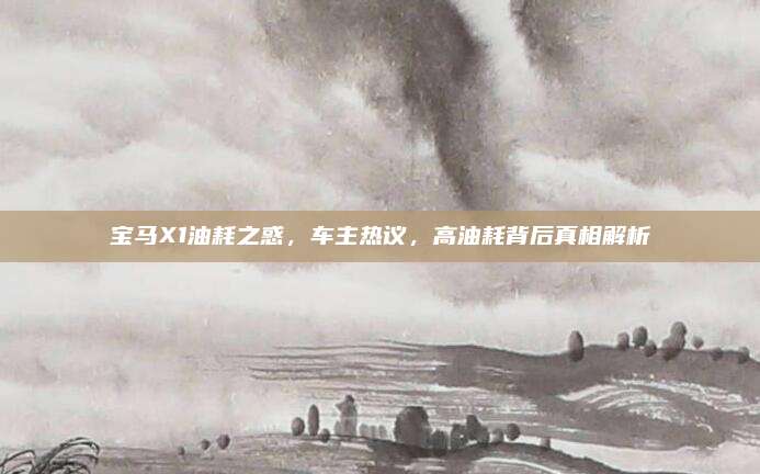 宝马X1油耗之惑,车主热议,高油耗背后真相解析