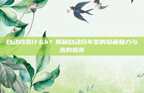 自动挡装什么b?揭秘自动挡车型的隐藏魅力与选购指南