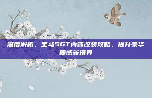 深度解析,宝马5GT内饰改装攻略,提升豪华质感新境界