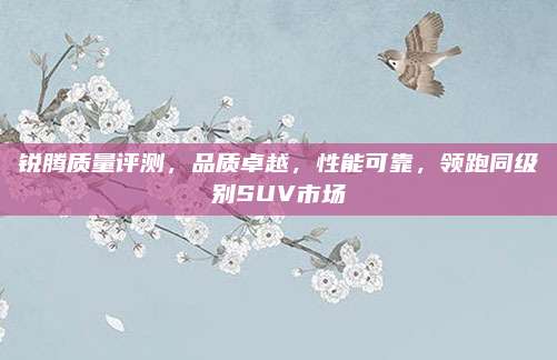 锐腾质量评测,品质卓越,性能可靠,领跑同级别SUV市场