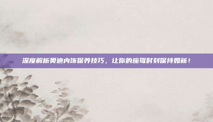 深度解析奥迪内饰保养技巧,让你的座驾时刻保持如新!