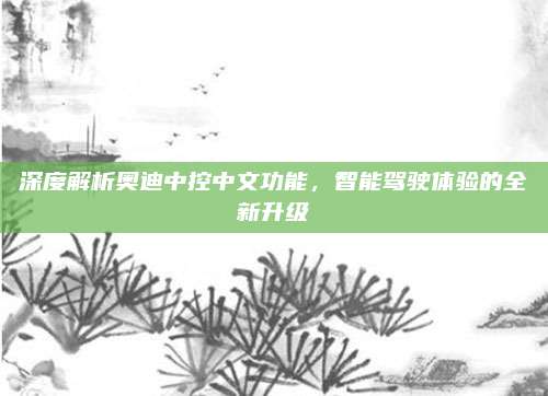 深度解析奥迪中控中文功能,智能驾驶体验的全新升级