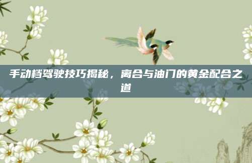 手动档驾驶技巧揭秘,离合与油门的黄金配合之道