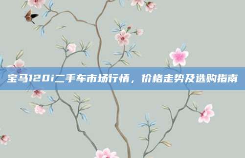 宝马120i二手车市场行情,价格走势及选购指南