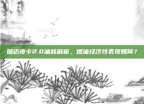 瑞迈皮卡2.0油耗解析,燃油经济性表现如何?