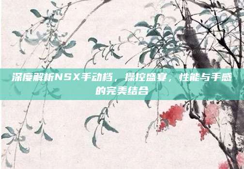 深度解析NSX手动档,操控盛宴,性能与手感的完美结合