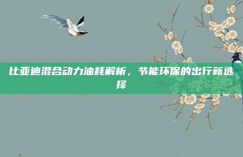 比亚迪混合动力油耗解析,节能环保的出行新选择