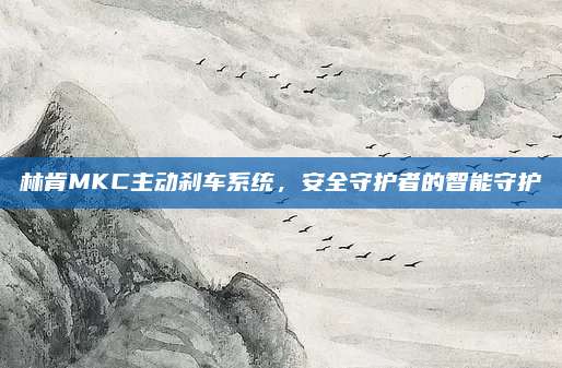 林肯MKC主动刹车系统,安全守护者的智能守护