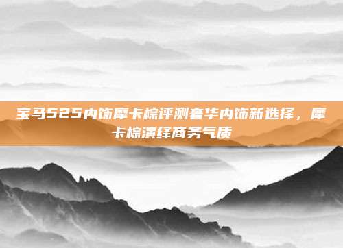 宝马525内饰摩卡棕评测奢华内饰新选择,摩卡棕演绎商务气质