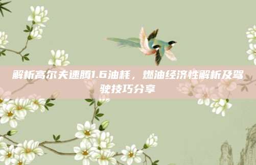 解析高尔夫速腾1.6油耗,燃油经济性解析及驾驶技巧分享