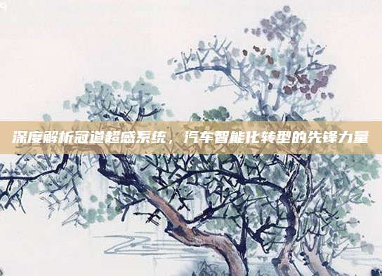 深度解析冠道超感系统,汽车智能化转型的先锋力量