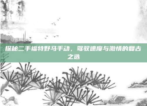 探秘二手福特野马手动,驾驭速度与激情的复古之选