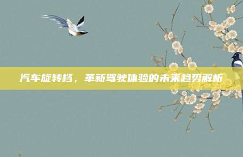 汽车旋转档,革新驾驶体验的未来趋势解析