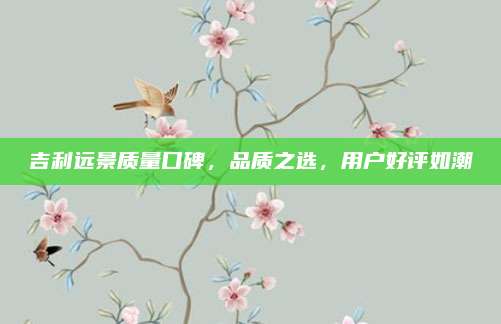 吉利远景质量口碑,品质之选,用户好评如潮