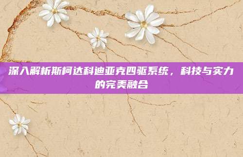 深入解析斯柯达科迪亚克四驱系统,科技与实力的完美融合