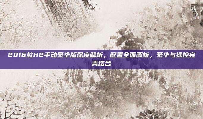 2016款H2手动豪华版深度解析,配置全面解析,豪华与操控完美结合