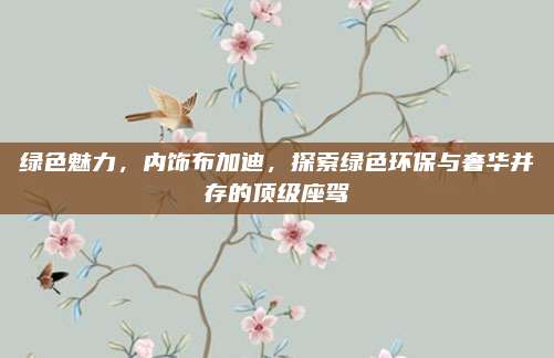 绿色魅力,内饰布加迪,探索绿色环保与奢华并存的顶级座驾