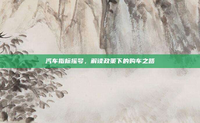 汽车指标摇号，解读政策下的购车之路