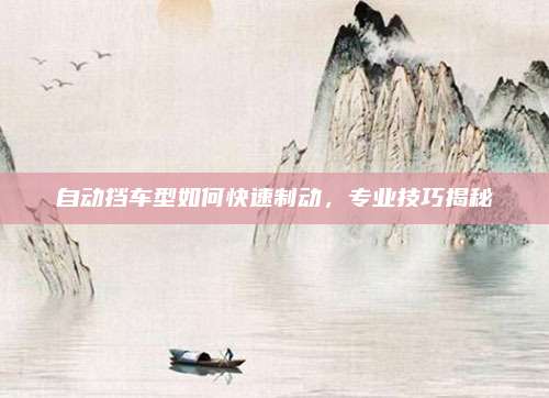 自动挡车型如何快速制动,专业技巧揭秘