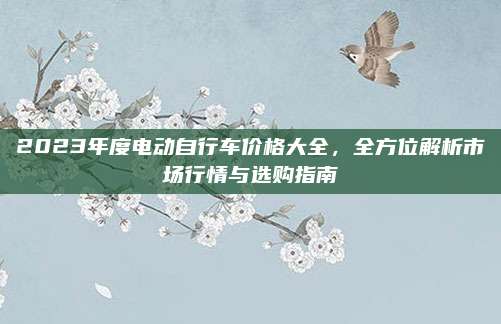 2023年度电动自行车价格大全,全方位解析市场行情与选购指南