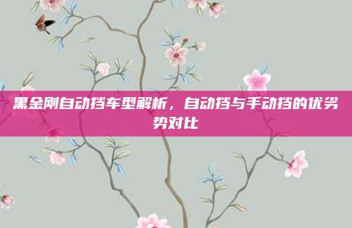 黑金刚自动挡车型解析,自动挡与手动挡的优劣势对比