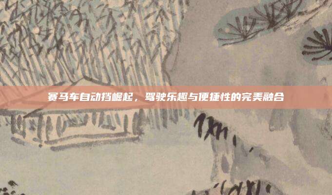 赛马车自动挡崛起,驾驶乐趣与便捷性的完美融合