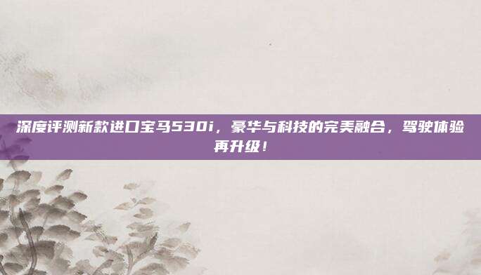 深度评测新款进口宝马530i,豪华与科技的完美融合,驾驶体验再升级!