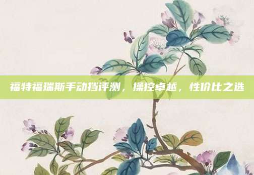 福特福瑞斯手动挡评测,操控卓越,性价比之选