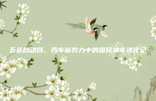 五菱自动挡,汽车新势力中的国民神车进化记