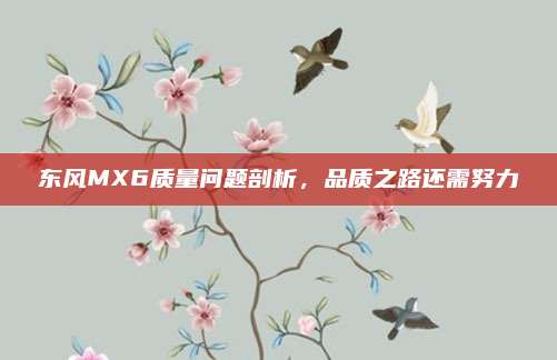 东风MX6质量问题剖析,品质之路还需努力